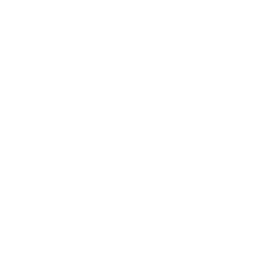 Icône téléphone