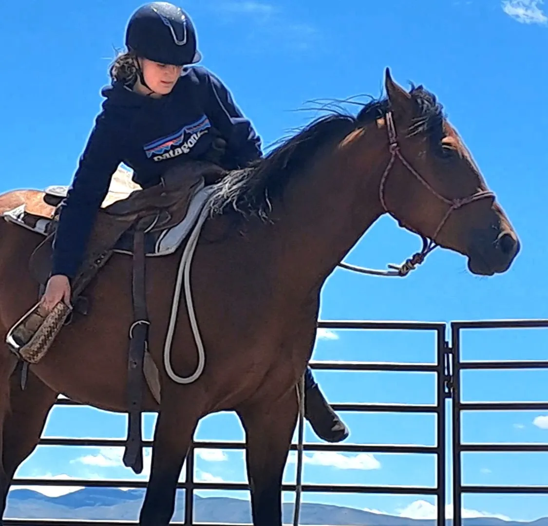 Cours particulier d'équitation